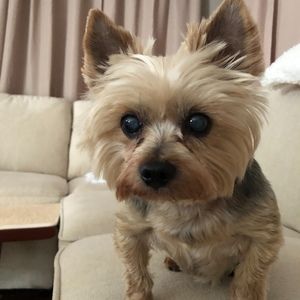 Meet your Posher, Anthony